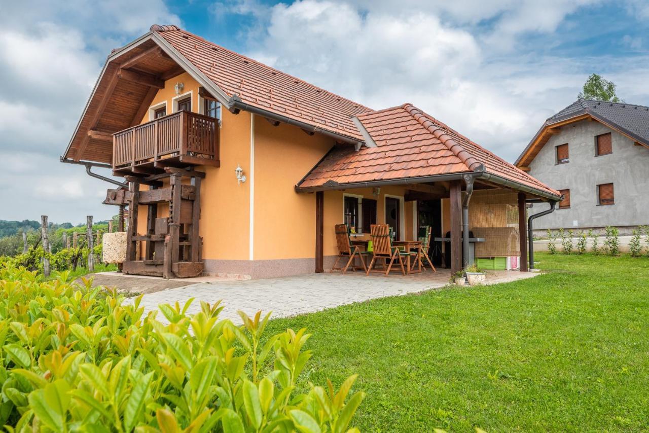 Вилла Wineyard Getaway House Sevnica Экстерьер фото
